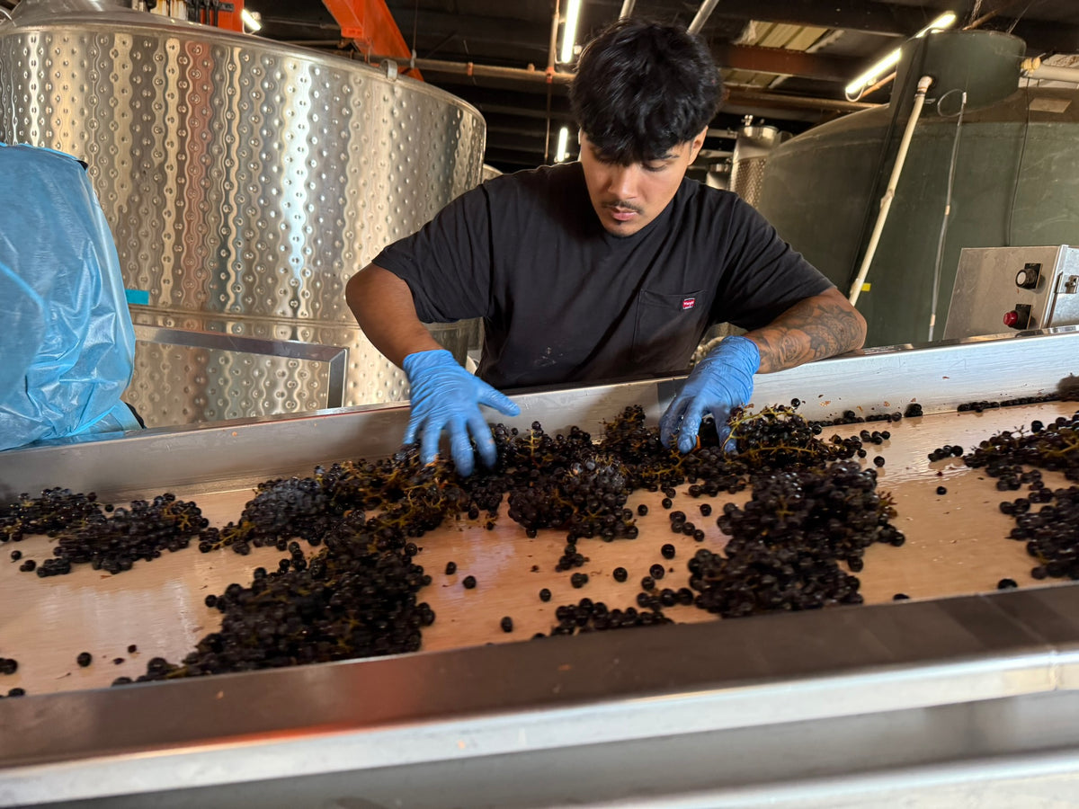 Grackle River Run Vineyard Cabernet Sauvignon